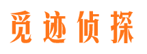 浪卡子市场调查